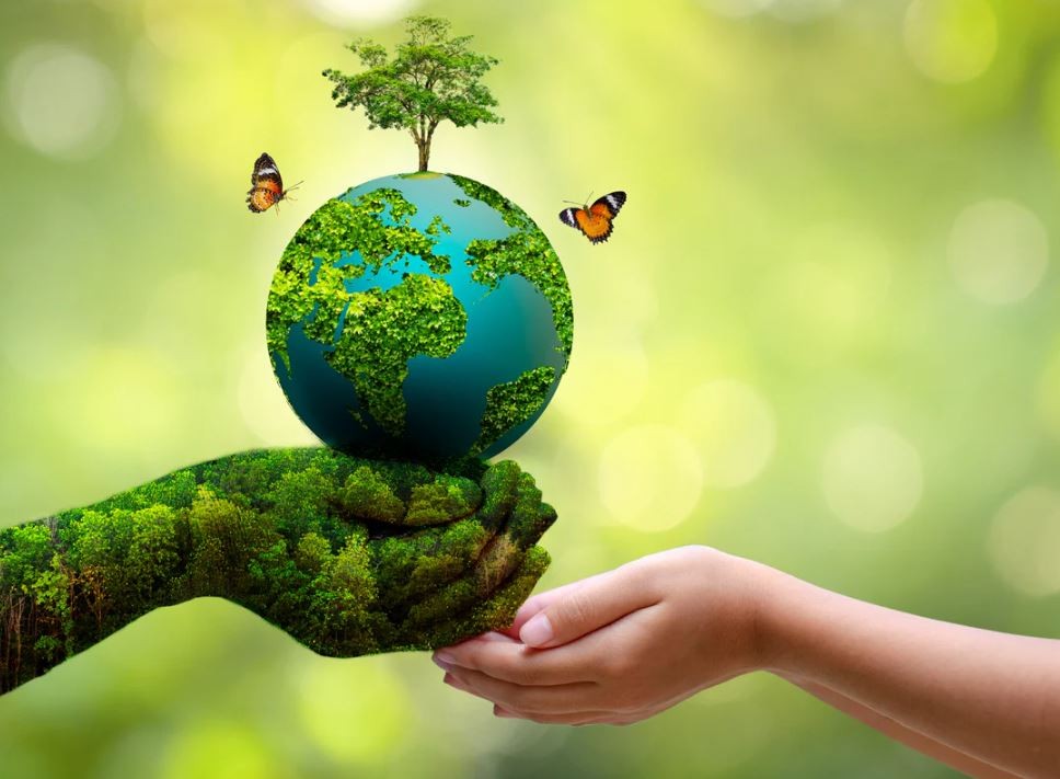 Eco Awareness