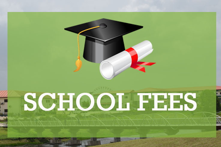 Fee Structure